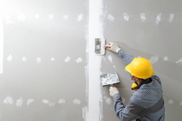 Best Fire-Damaged Drywall Repair  in Whitney Point, NY